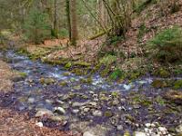 Quellbach im Wald - Schleierfall / Saulgrub